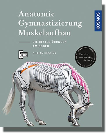 Anatomie, Gymnastizierung, Muskelaufbau - Buch