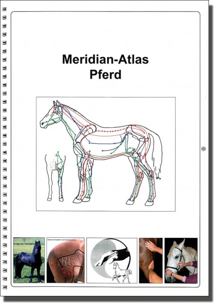 Meridian-Atlas Pferd - APM nach Penzel - Spiralbindung