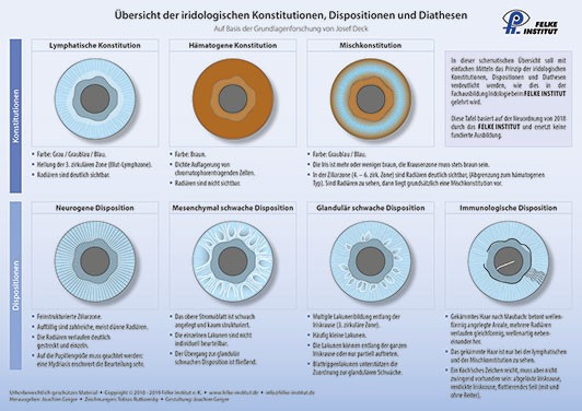 Lehrtafel - Übersicht der iridologischen Konstitutionen, Dispositionen und Diathesen