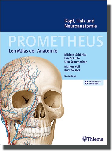 Prometheus - Kopf, Hals und Neuroanatomie