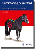 Pferde