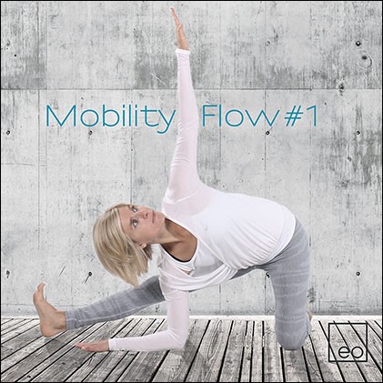 Mobility Flow #1 - Musik-CD
