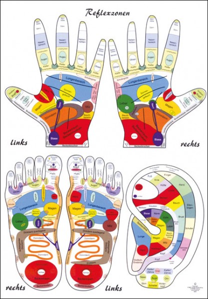 Lehrtafel - Reflexzonen-Kombi - Füße, Hände + Ohr