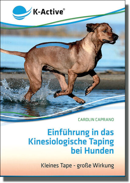 Einführung in das Kinesiologische Taping bei Hunden