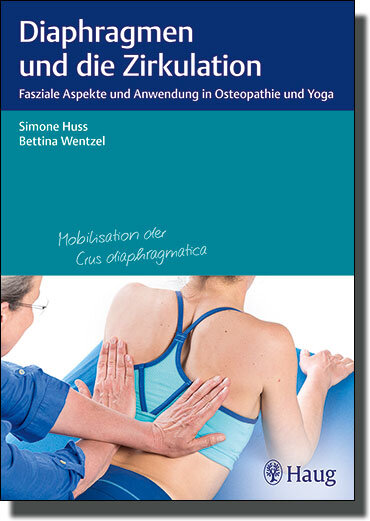 Diaphragmen und die Zirkulation