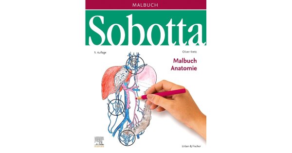 Sobotta Malbuch Anatomie