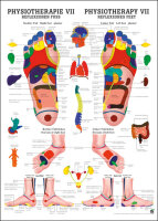 Lehrtafel - Physiotherapie VII 50 x 70cm, Normal
