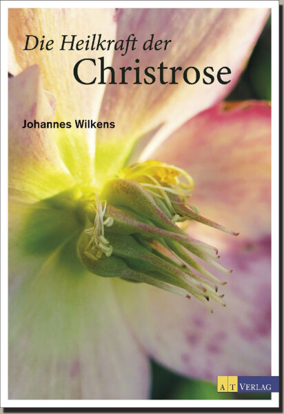 Die Heilkraft der Christrose