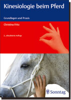 Kinesiologie beim Pferd