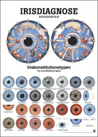 Lehrtafel - Irisdiagnose 50 x 70 cm, Normal