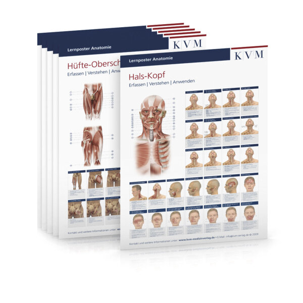 Lernposter Anatomie - 6er Set