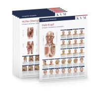 Lernposter Anatomie - 6er Set