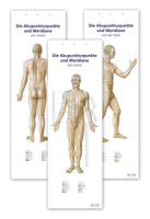 Lehrtafel - Akupunkturpunkte-Faltposter-Set