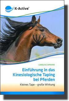 Einführung in das Kinesiologische Taping bei Pferden