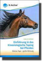 Einführung in das Kinesiologische Taping bei Pferden