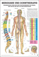 Lehrtafel - Meridiane & Dorntherapie 70 x 100cm,...
